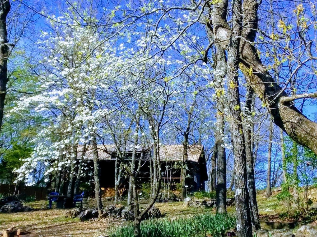 Cherokee Mountain Log Cabins Eureka Springs Exterior photo